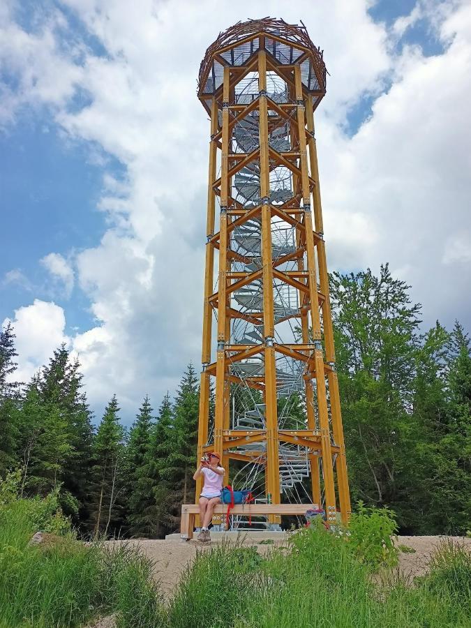 Rodinny "Hotel U Mustku" Desna  Bagian luar foto